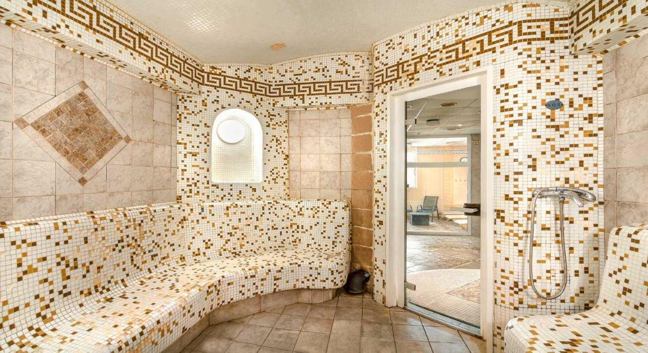 Hotel Dvorak & Wellness
